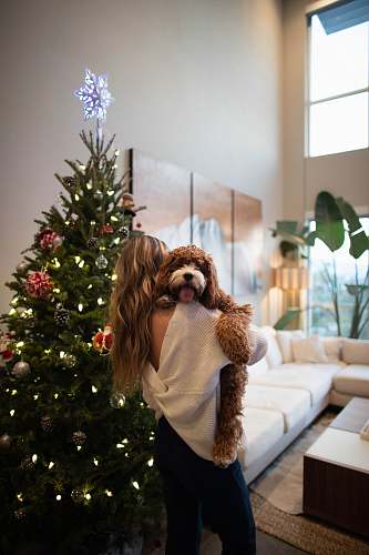 indoors woman carrying dog beside Christmas tree room